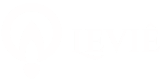 Logo da agência Leviê